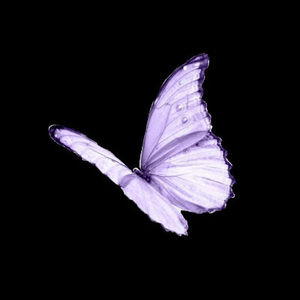 Meet your Posher, Jayana